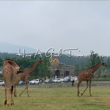 金牛湖野生动物王国