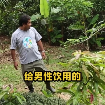 亚马逊雨林