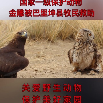 国家一级保护动物
