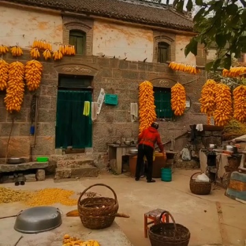 我家在辉县