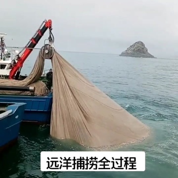 远洋捕捞