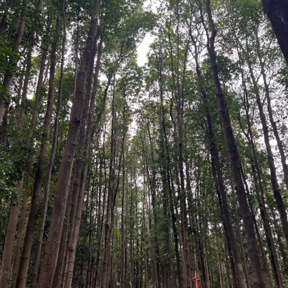 登山徒步搭子 群聊头像