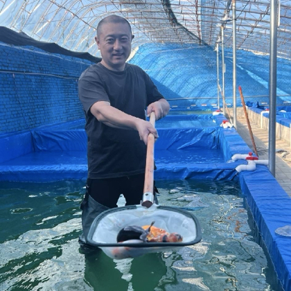 老郝玩鱼交流群【大体兰寿，泰狮】1群 群聊头像