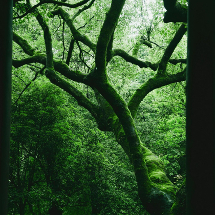 檐下听雨 群聊头像