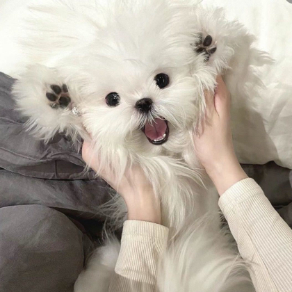 5️⃣图纸分享 群聊头像