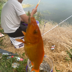 新蔡附近探钓群 群聊头像
