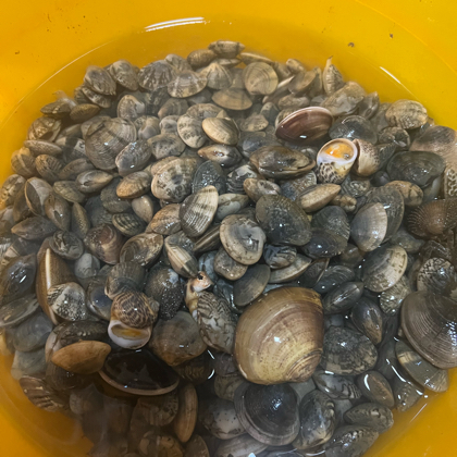 遂溪赶海群 群聊头像