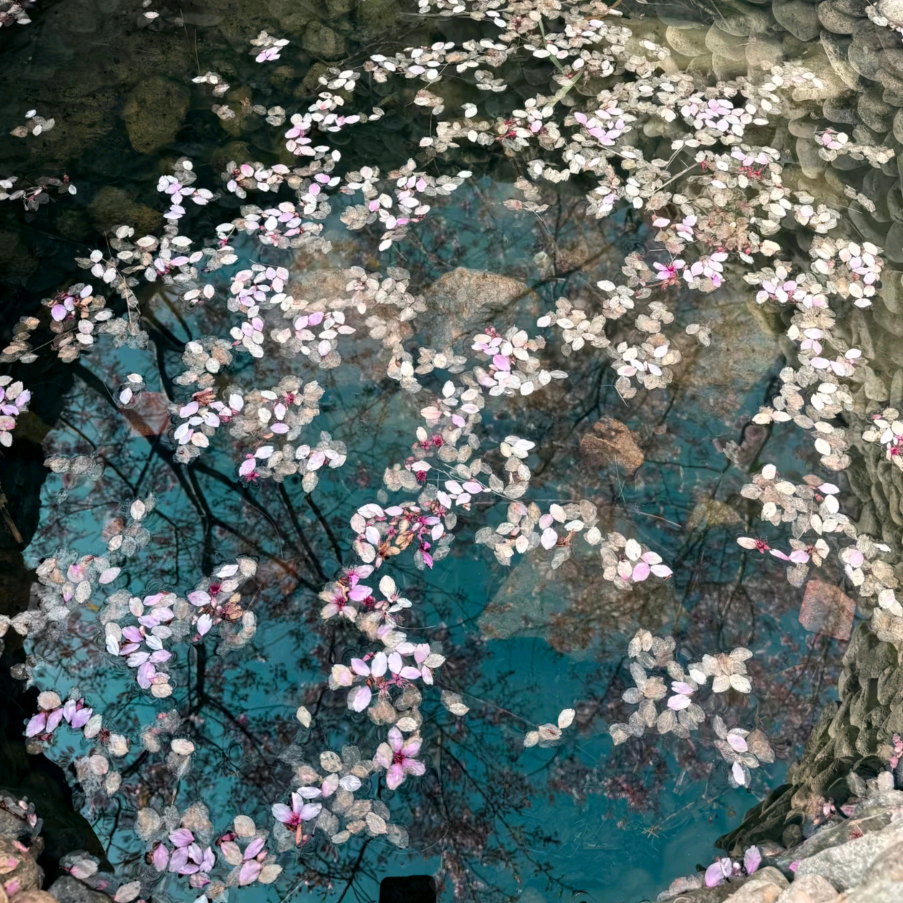 画画画画 群聊头像