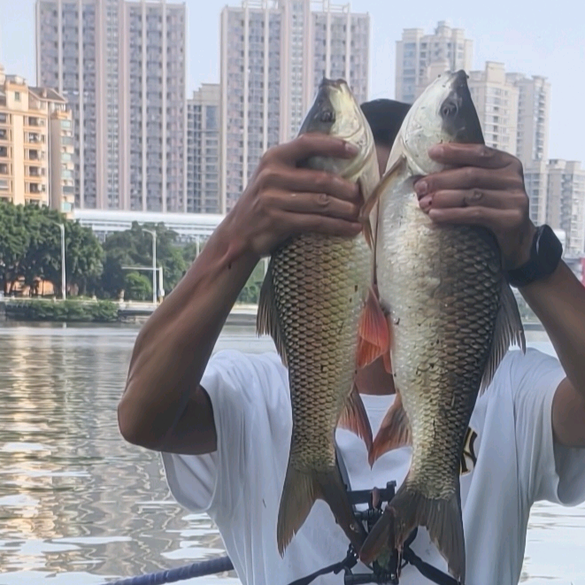 大师集中营 群聊头像