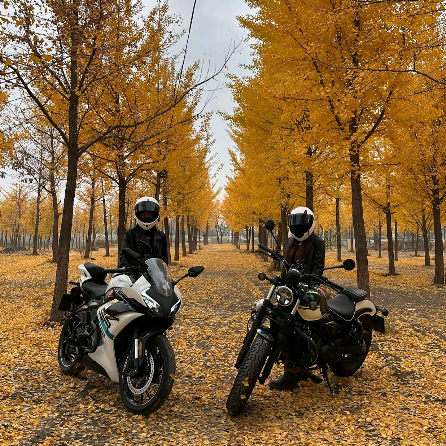 杭州随缘溜车🏍️搭子 群聊头像