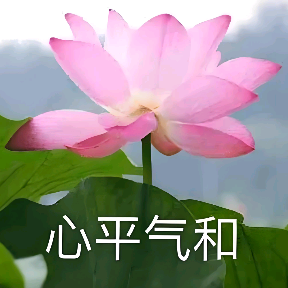 玲珑殿 群聊头像
