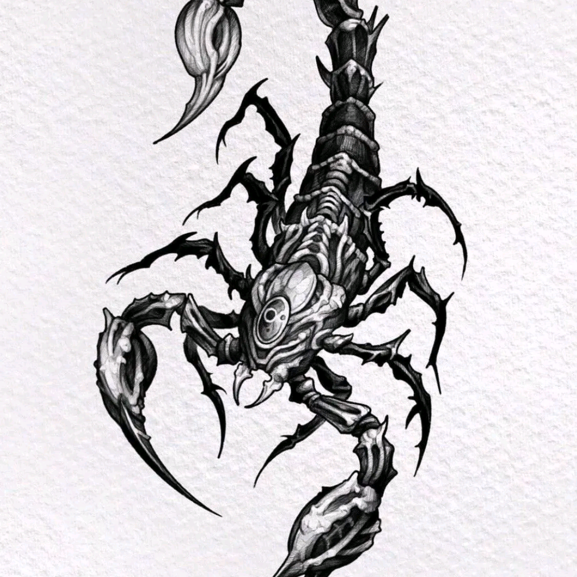 天蝎♏集结群 群聊头像