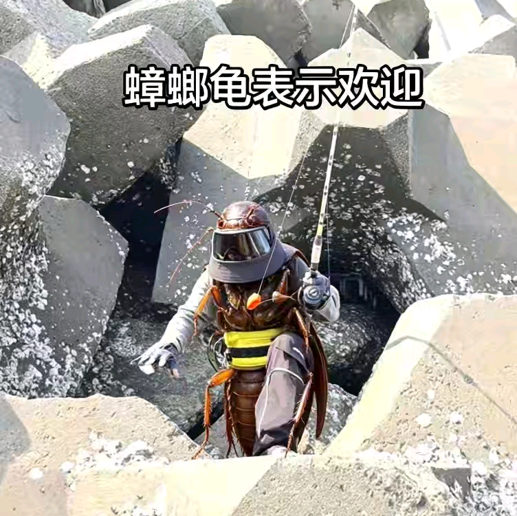 母蟑螂🪳钓鱼探讨群 1 群聊头像