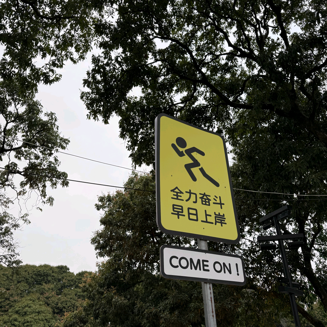 四项研究中心 群聊头像