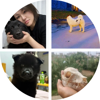 中华田园犬之五黑 群聊头像