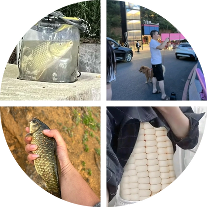 贵阳花溪钓友群 群聊头像