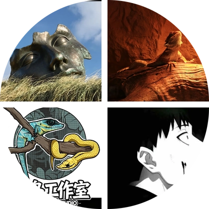 淄博爬宠圈 群聊头像