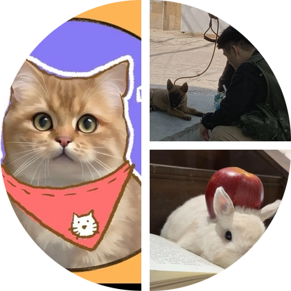 秒杀3群 群聊头像