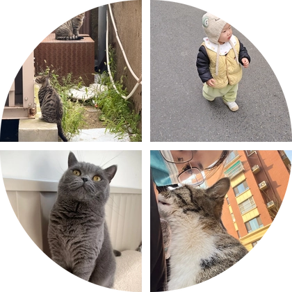 流浪小奶橘猫救助群 群聊头像
