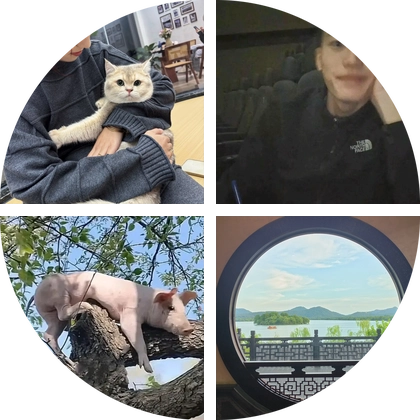 美职篮特工 群聊头像