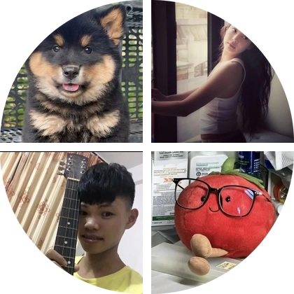 田园犬交流聚集地 群聊头像
