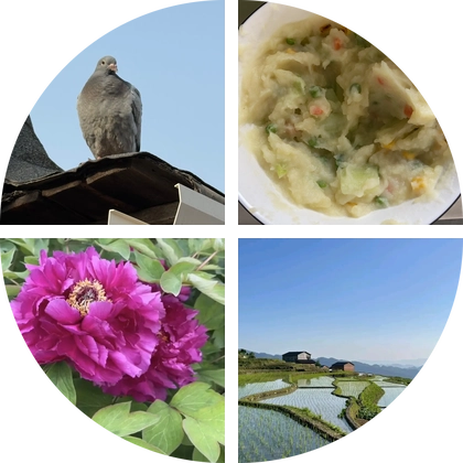吉他内卷交流 群聊头像