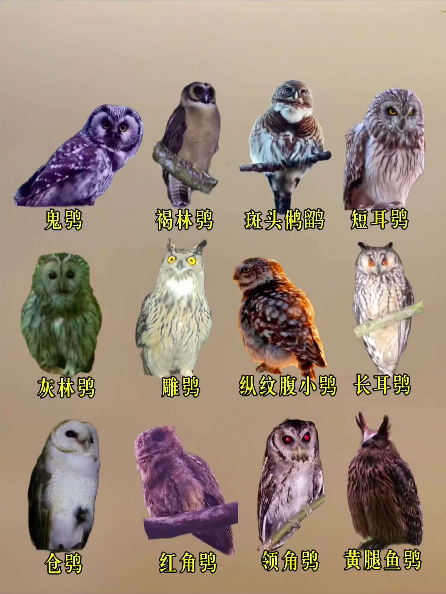 鳥頭∈(・ө・)∋出品 山真製鋸 山真製鋸 レッドエイリアン レーザー墨出し器 RA-06