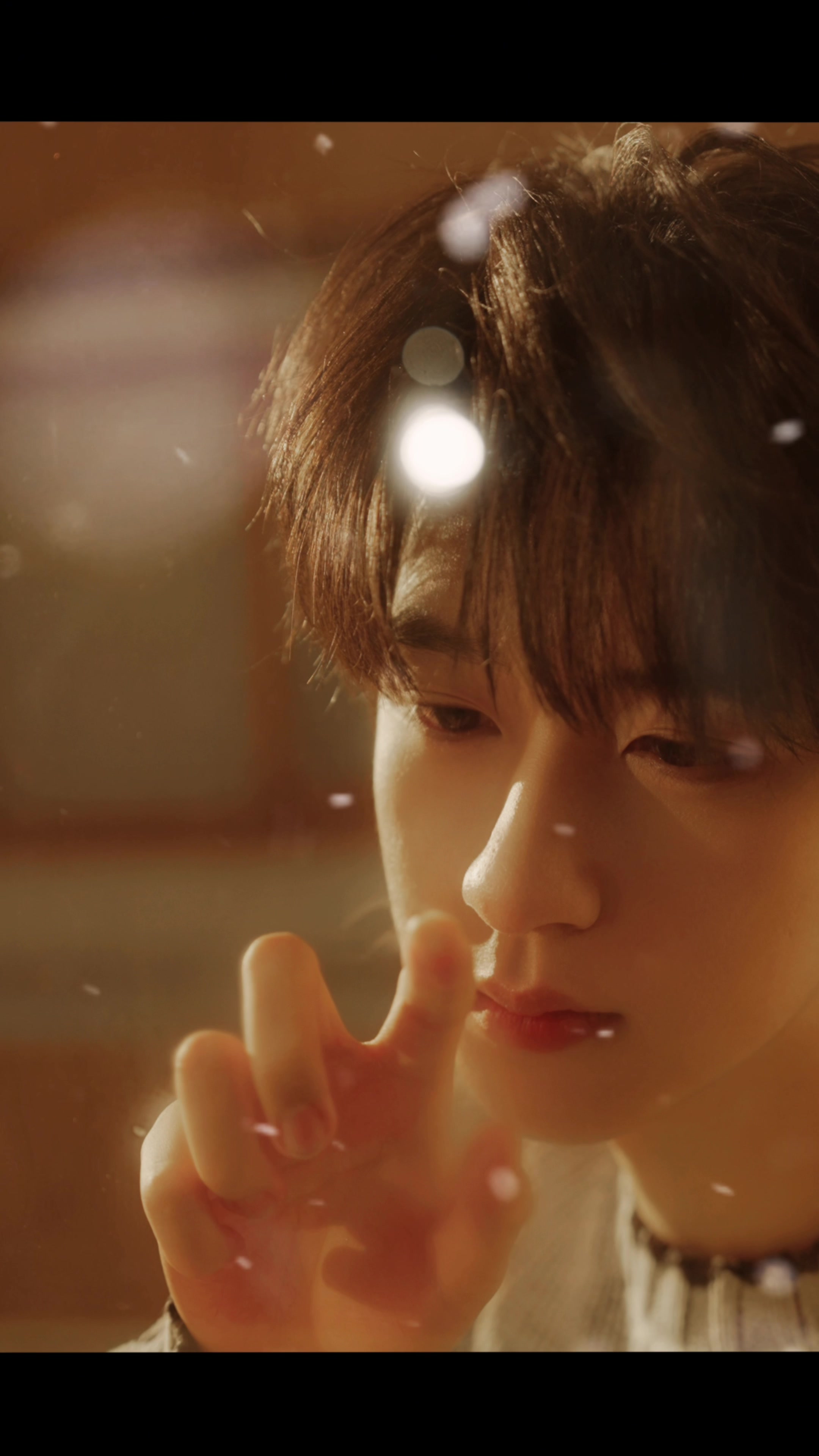 贺峻霖世界倒数第一忧郁的人